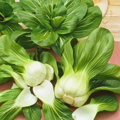 Sluis Garden - Paksoi Green Fortune F1
