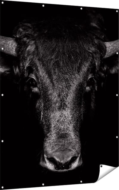 Gards Tuinposter Stierenkop - Stier - Zwart Wit - 120x160 cm - Tuindoek - Tuindecoratie - Wanddecoratie buiten - Tuinschilderij