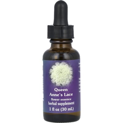 Wilde Kervel, Bloesem Essentie, 30ml(1 fl oz)