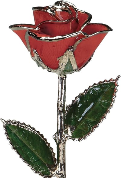 Echte Roos Decoratie - Gouden Roos - Cadeau Geven - Met Platina Versierd - 28 cm - Rood