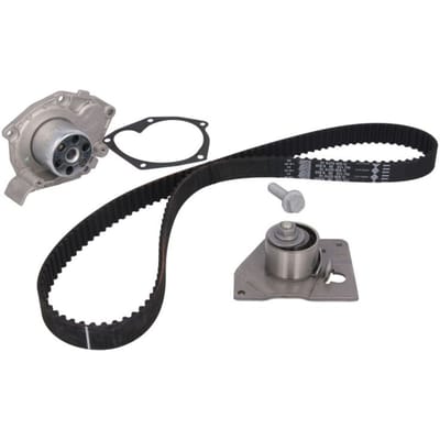 Schaeffler Ina Waterpomp+distributieriem set INA 530 0196 30