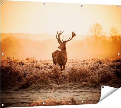 Gards Tuinposter Hert in de Wei tijdens de Zonsopkomst - 120x90 cm - Tuindoek - Tuindecoratie - Wanddecoratie buiten - Tuinschilderij