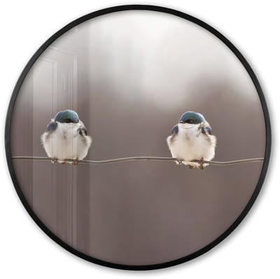 Poster in lijst Rond - Fotolijst 60x60 cm - Posters - Vogels - Dieren - Draad - Portret - Ronde posterlijst zwart - Decoratie - Wanddecoratie woonkamer - Muurdecoratie slaapkamer