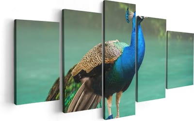 Artaza Canvas Schilderij Vijfluik Kleurrijke Pauw Bij Het Water - 100x50 - Foto Op Canvas - Canvas Print