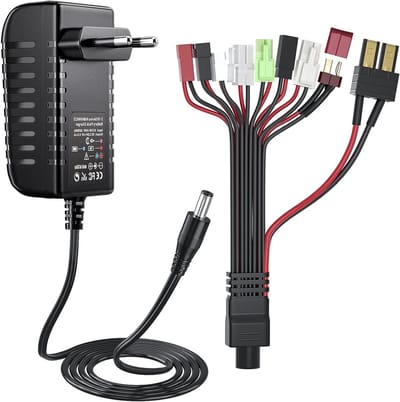 Oplaadbare NIMH/NICD Batterijlader voor 2-10s 2.4V-12V Accu's met 9 Universele Adapters voor Auto, Boot en Drone