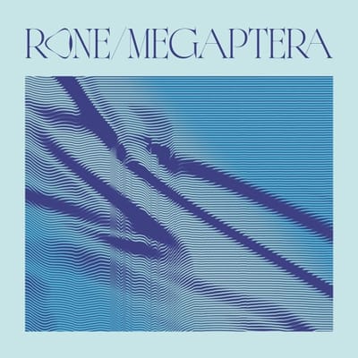 Megaptera