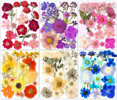 Set van 116 Echte Gedroogde Persbloemen voor Ambacht, Hars Giethars en Sieraden Maken