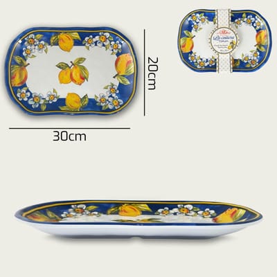 Arca Limoni collection - Set van 2 Rechthoekige Melamine Schalen/Borden 30x20xH3cm – licht in gewicht – makkelijk stapelbaar – voor binnen en buiten