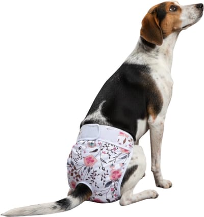 Loopsheidbroekje hond Roze bloem Maat L - Herbruikbaar - Hondenluier - Wasbaar - Heupomvang 36-46 cm - Bij loopsheid en incontinentie