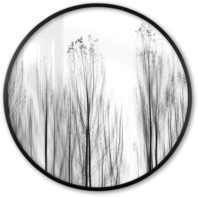 Poster in lijst Rond - Fotolijst 60x60 cm - Posters - Bomen - Zwart wit - Vogels - Natuur - Ronde posterlijst zwart - Decoratie - Wanddecoratie woonkamer - Muurdecoratie slaapkamer