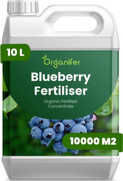 Vloeibare Meststof Voor Blauwe Bessen 10 L Voor 10000 M2 - Npk 2-1-8 - Sterke Scheuten - Grotere Bessen - Diepe Blauwe Kleur - Zure Bodem - Sterk Wortelstelsel - Vruchtzetting - Stressbestendig - Hoge Opbrengst - Organifer