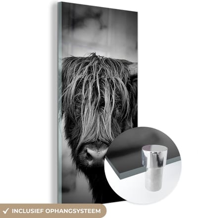 MuchoWow® Glasschilderij 60x120 cm - Schilderij acrylglas - Schotse hooglander - Licht - Portret - Natuur - Foto op glas - Schilderijen