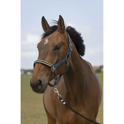 Nylon chevron halster Equithème