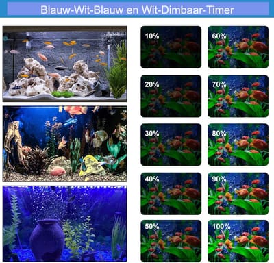 Aquarium LED verlichting twee kleuren licht, blauw en wit licht elk apart regelbaar of kunnen ook samen branden. Lengte led aquariumlamp 28 cm met 12 led's blauw en wit. Wij geven 2 jaar garantie op dit product.