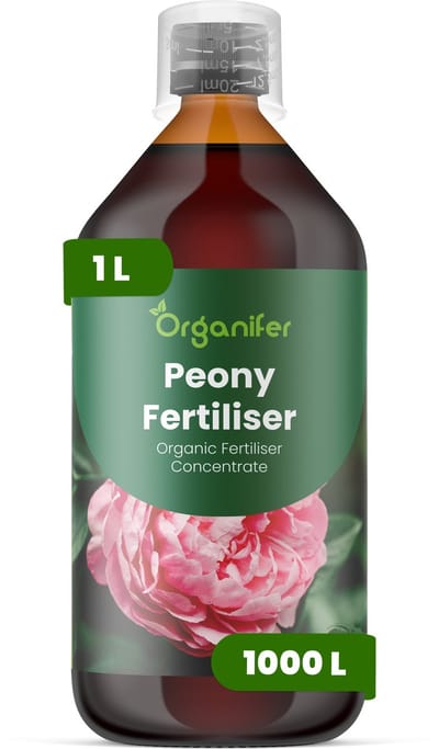 Vloeibare Meststof Voor Pioenen 1 L Voor 1000 L - Npk 2-1-8 - Ondersteunt Een Krachtige Opkomst In Het Voorjaar En Een Sterke Vroege Groei - Versterkt De Knopvorming Voor Grotere Vollere Bloemen - Organifer