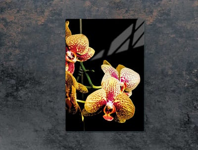 TMK ArtDeko Serie - Snijplank van Glas - 35x52 cm - Orchidee - Hittebestendig