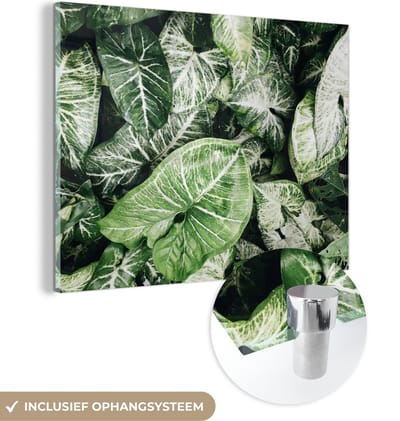 MuchoWow® Glasschilderij 120x90 cm - Schilderij acrylglas - Bladeren - Planten - Natuur - Foto op glas - Schilderijen