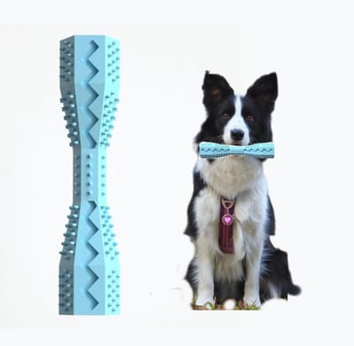 Daity Hondenkauwspeeltje - TPR-veilig interactief hondenspeeltje - veilig hondenkauwspeeltje - hond - puppy-bijtstokje - hondenkauwplank - blauw