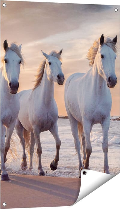 Gards Tuinposter Witte Paarden op het Strand bij Water - 60x90 cm - Tuindoek - Tuindecoratie - Wanddecoratie buiten - Tuinschilderij