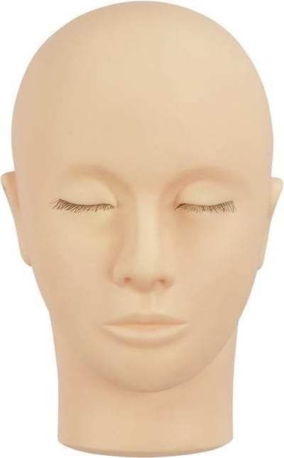 Training Head For Eyelash Applications