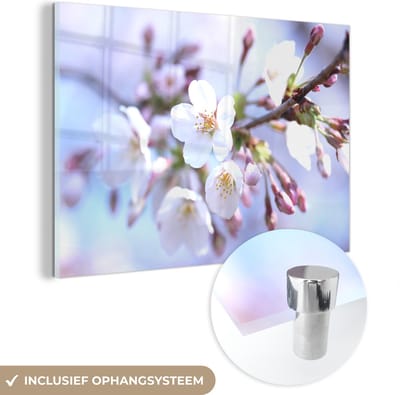 MuchoWow® Glasschilderij 120x80 cm - Schilderij acrylglas - Bloemen - Sakura - Tak - Foto op glas - Schilderijen