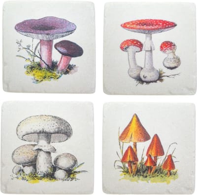 Vintage paddenstoelen onderzetters (Set van 4) - Sass & Belle