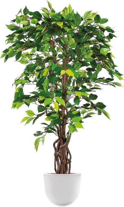 Kunstplant Ficus in Eggy H130 cm
