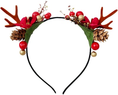 Hertjes diadeem - winter