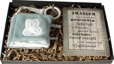Brievenbuscadeau zwangerschap, buggyboekje nijntje tiamo green, tekstbord zwanger