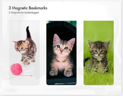Set van 3 magnetische boekenleggers, Kittens