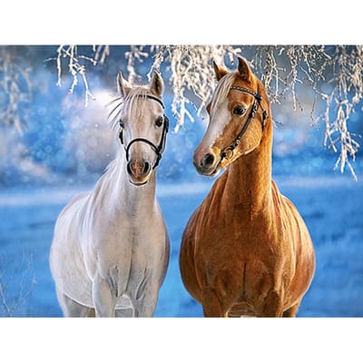 5D DIY diamant borduurwerk sneeuw twee paard diamant schilderij kruissteek strass woondecoratie 20X30CM brown