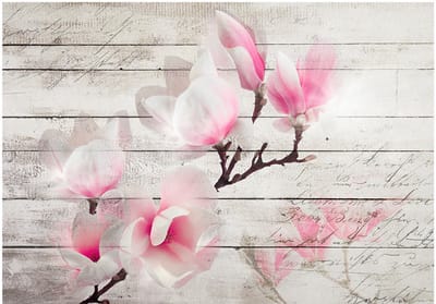 Fotobehangkoning - Behang - Vliesbehang - Fotobehang Magnolia op Hout - Gentleness of the Magnolia - 300 x 210 cm