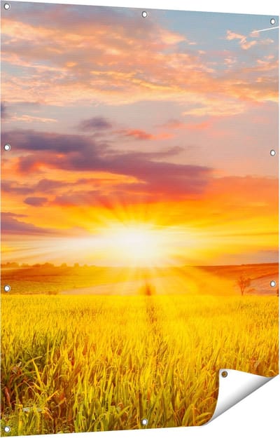 Gards Tuinposter Zonsopgang op het Ma�sveld - 90x120 cm - Tuindoek - Tuindecoratie - Wanddecoratie buiten - Tuinschilderij