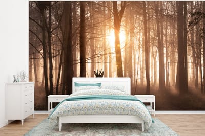 Behang - Fotobehang Bos - Hert - Zon - Bomen - Winter - Natuur - Dieren - Breedte 375 cm x hoogte 280 cm