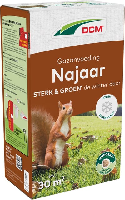 DCM GAZON NAJAAR 1,5KG