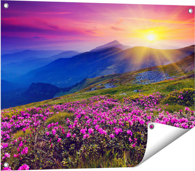 Gards Tuinposter Roze Rhododendron Bloemenveld - Bergen - 80x60 cm - Tuindoek - Tuindecoratie - Wanddecoratie buiten - Tuinschilderij