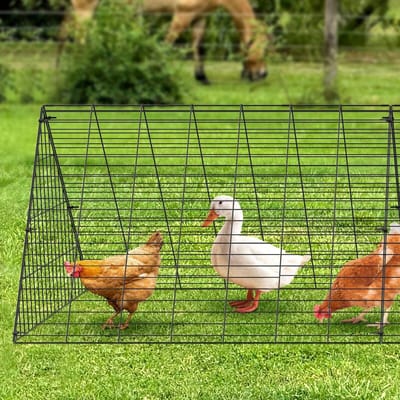 Tunnels à poulets, 287 x 78,7 x 24,2 pouces(LxLxH) Tunnels pour poulets pour jardin, Tunnels portables pour poulets pour extérieur avec cadres d'angle, 2 ensembles, Convient pour
