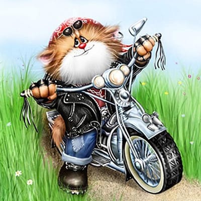 Cross Stitch Kit DIY diamant borduurwerk motorfiets kat Diamond schilderij mozaïek Home Decor 30X30CM black