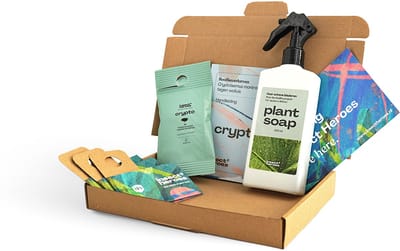 Wolluis Bestrijden - voor 1 Plant of 1 m² - Bescherm Kamerplanten, Moestuin & Kas - 100% gifvrij - 30 Crypto Larven, 3 Uitzetdoosjes en 250ml Plant Soap - Biologische Bestrijding van Wolluis - Combi Pakket tegen Wolluis