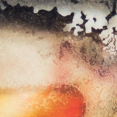 Multicast Dynamics - Scape (CD)