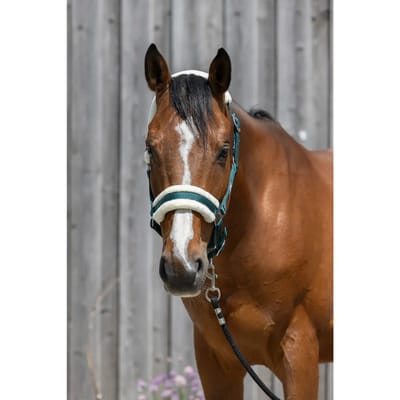 Synthetisch schapenvacht halster voor paarden Riding World