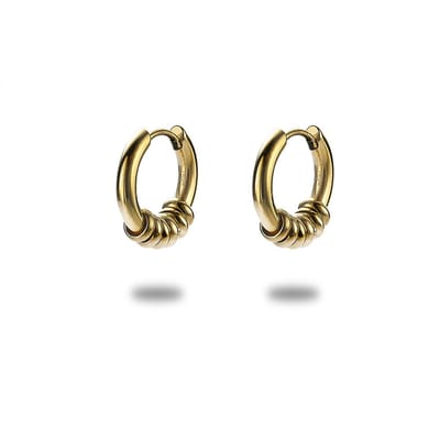 Twice As Nice Oorbellen in goudkleurig edelstaal, oorring met 6 ringetjes