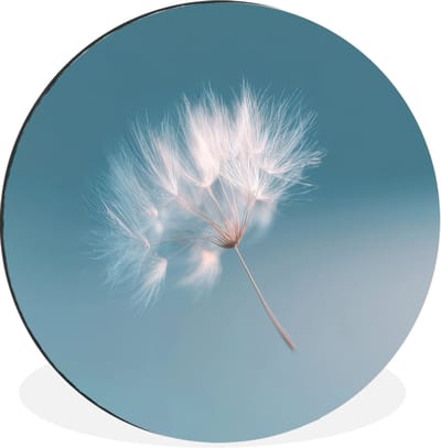WallCircle - Wandcirkel - Muurcirkel - Paardenbloempluisje - Blauw - Lucht - Aluminium - Dibond - 30x30 cm - Binnen en Buiten