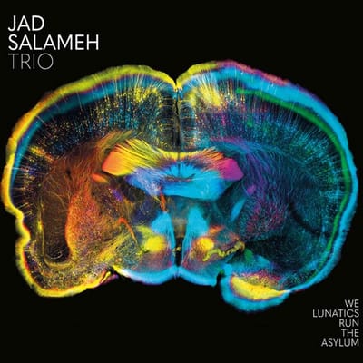 Jad Salameh Trio - We Lunatics Run The Asylum (CD)