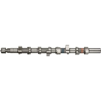 Nokkenas  AMC 647197