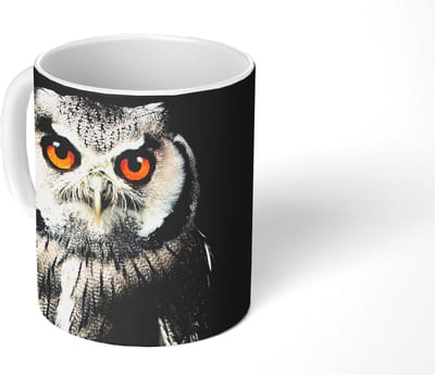 Mok - Koffiemok - Uil - Vogel - Oranje - Zwart - Mokken - 350 ML - Beker - Koffiemokken - Theemok