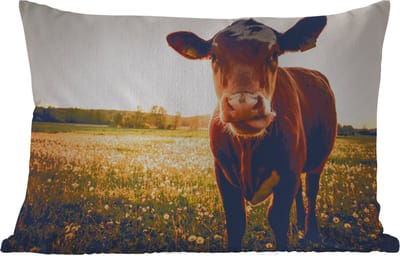 Buitenkussens - Koe - Zonsondergang - Bloemen - Gras - Dieren - 60x40 cm - Weerbestendig
