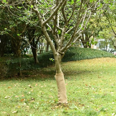 vidaXL - Juterol - 0,5x5 - m - 100% - Jute - 200 - g/m²