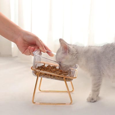 Gamelle surélevée transparente pour chat et chien, avec ouverture inclinée, en fer doré Wrought Iron Single Bowl beige