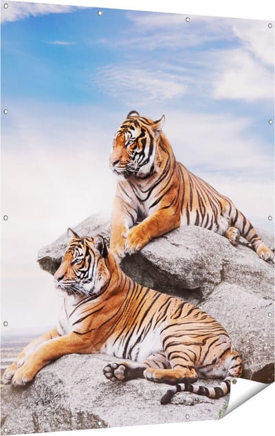 Gards Tuinposter Twee Tijgers op Rotsen met het Blauwe Lucht - 120x160 cm - Tuindoek - Tuindecoratie - Wanddecoratie buiten - Tuinschilderij